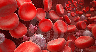 blood-cells-erythrocyte-thrombocyte-leukocyte